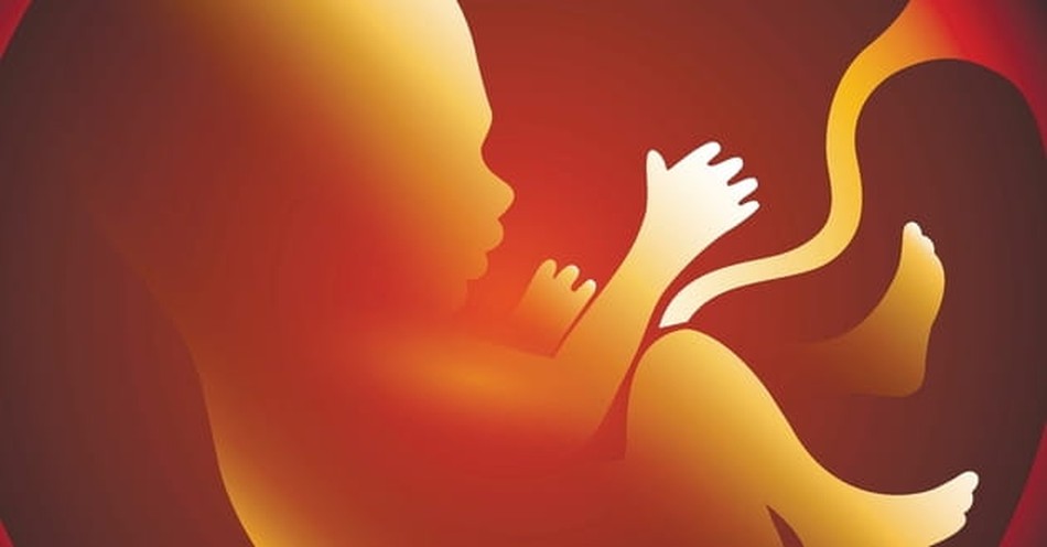 How Can a Christian Respond to Those Who Don't Believe That Abortion Is Taking a Life?