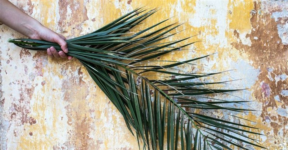 What Is Palm Sunday and Why Do Christians Celebrate It?