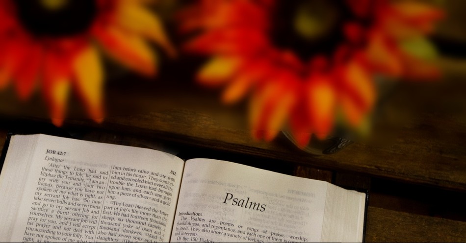What Are the Psalms of Praise?
