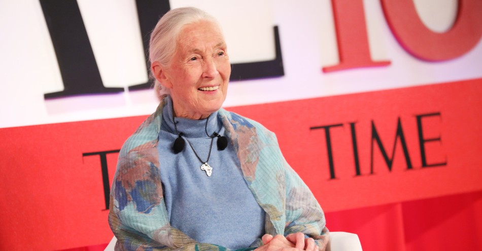Jane Goodall Sees Intelligent Design but Misses God's Image