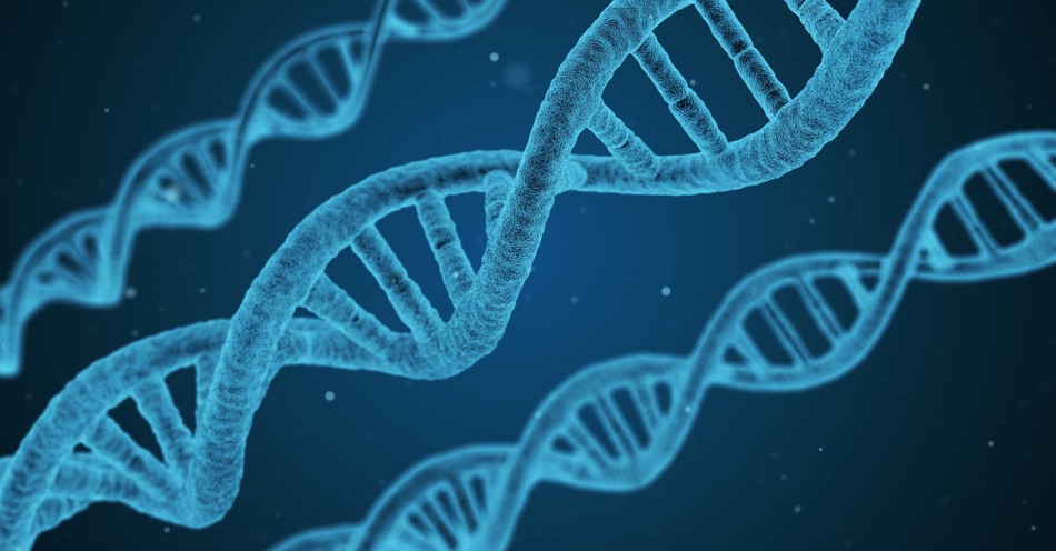 Playing God with Our Genes: An Existential Threat