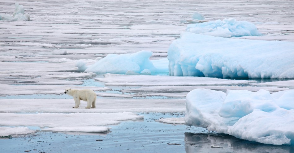 What to Do about Our Kids and 'Eco-Anxiety'