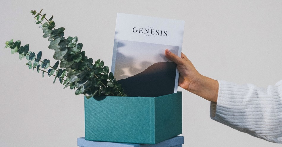 What Is the Meaning of Genesis 1 and Why Is it Popular?