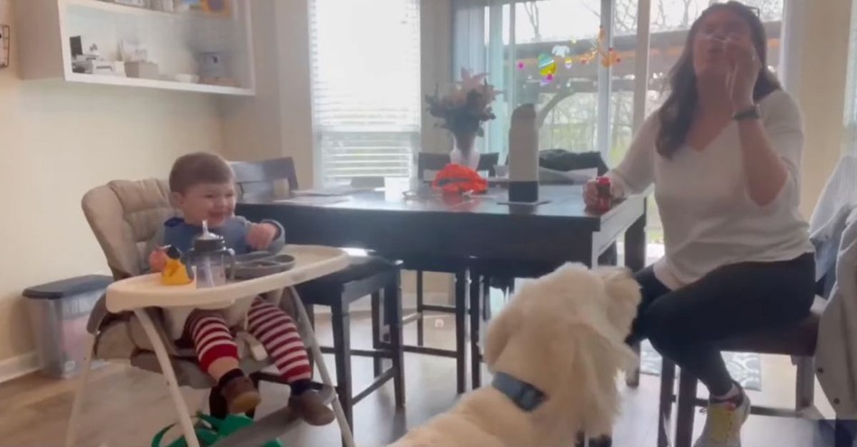 Baby's Uncontrollable Laughter at Dog's Bubble Antics