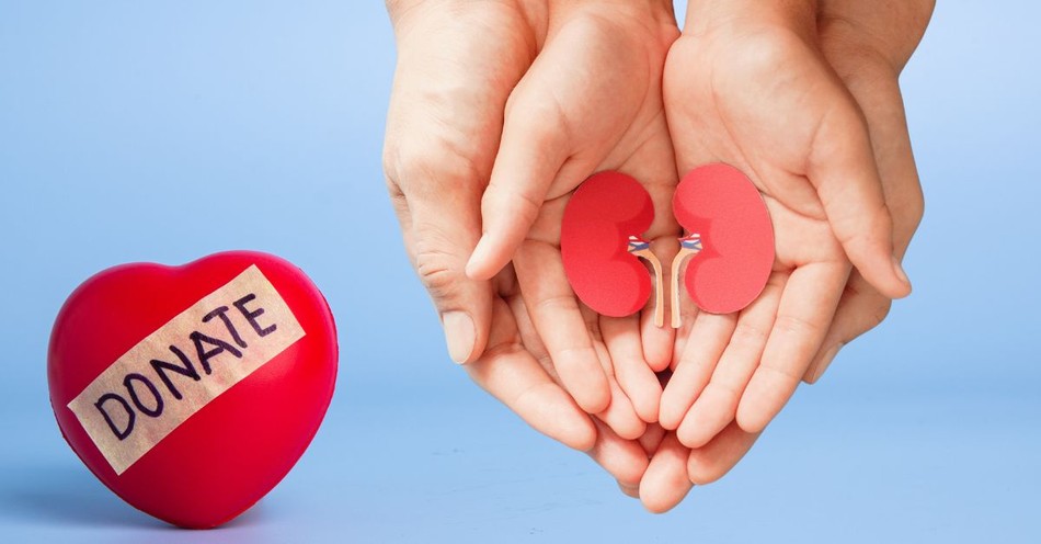 Is There a Biblical Argument against Organ Donation?