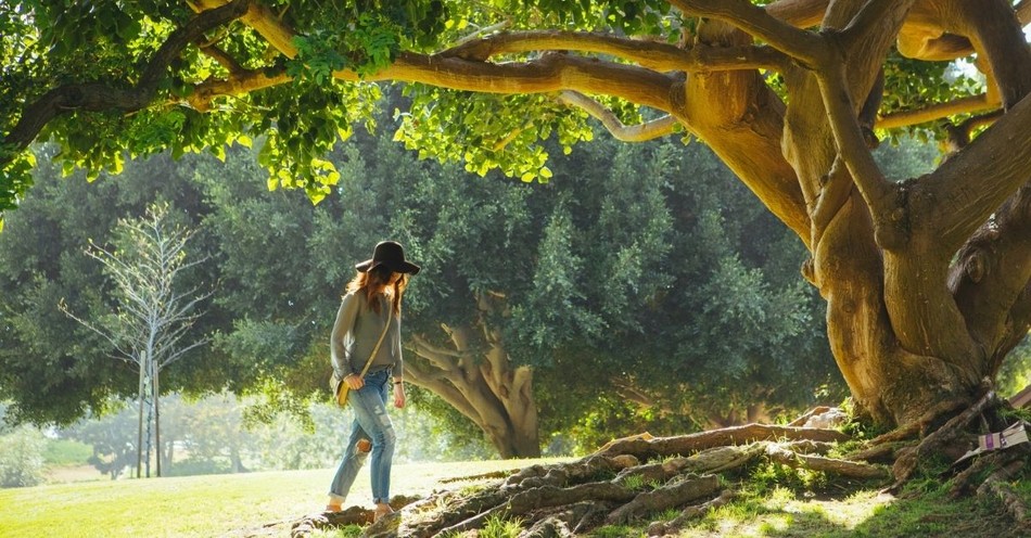 6 Trees in the Bible That Point Us to God's Justice, Mercy, and Eternal Life