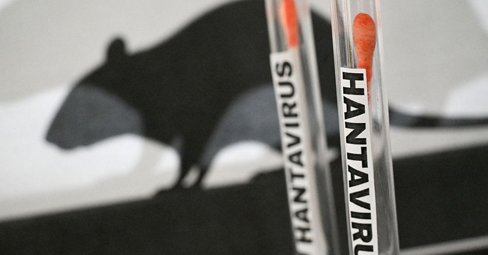 Fighting Fear with Faith as News of a Hantavirus Outbreak Sparks Panic
