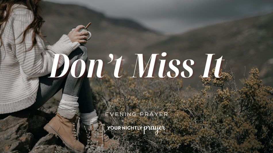 Joy in Simple Ordinary Moments | Your Daily Prayer