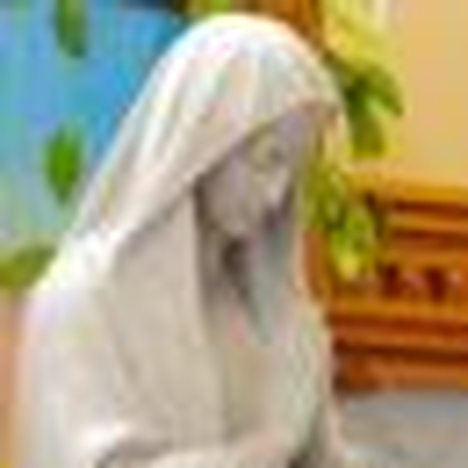 Is Mary the 'Coredemptrix' of Humanity?