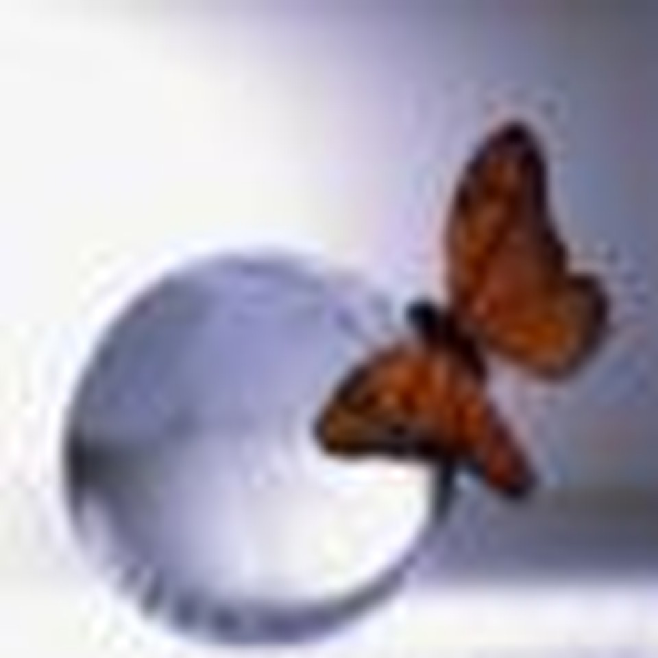 The Joy of the Whole Earth? God's Purpose for the Body of Christ