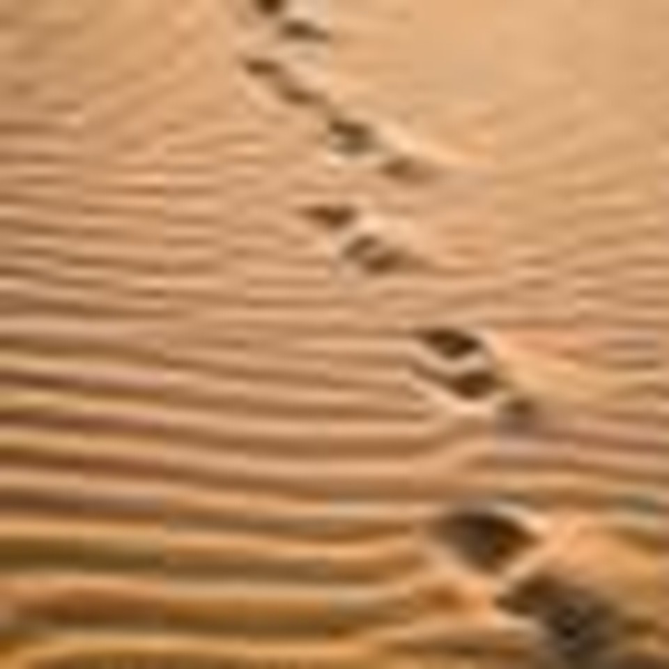 Abraham: The Footprint of an Obedient Faith