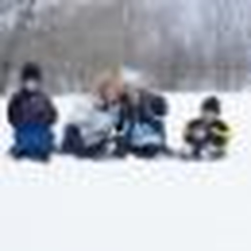 Top 10 Articles of January 2009