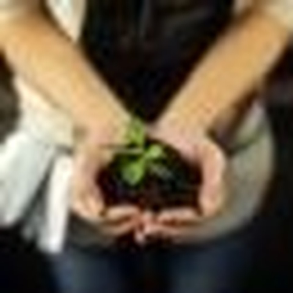 Top 10 Articles of June 2010