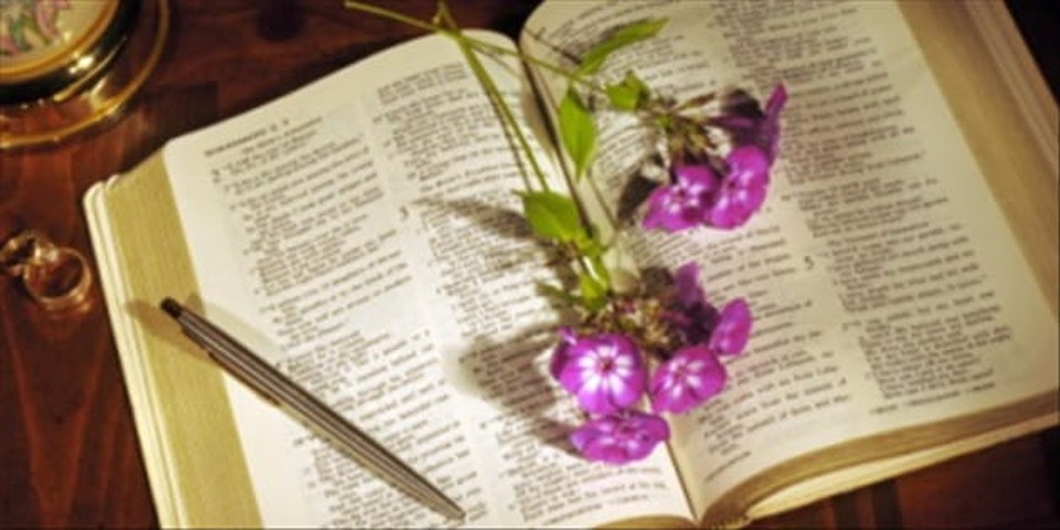 Is There Intended Allegory in the Song of Solomon?