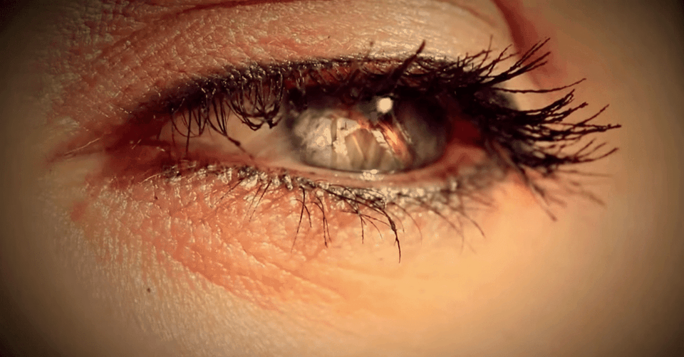 Intricately and Personally Made: An Our Daily Bread Devotional Video