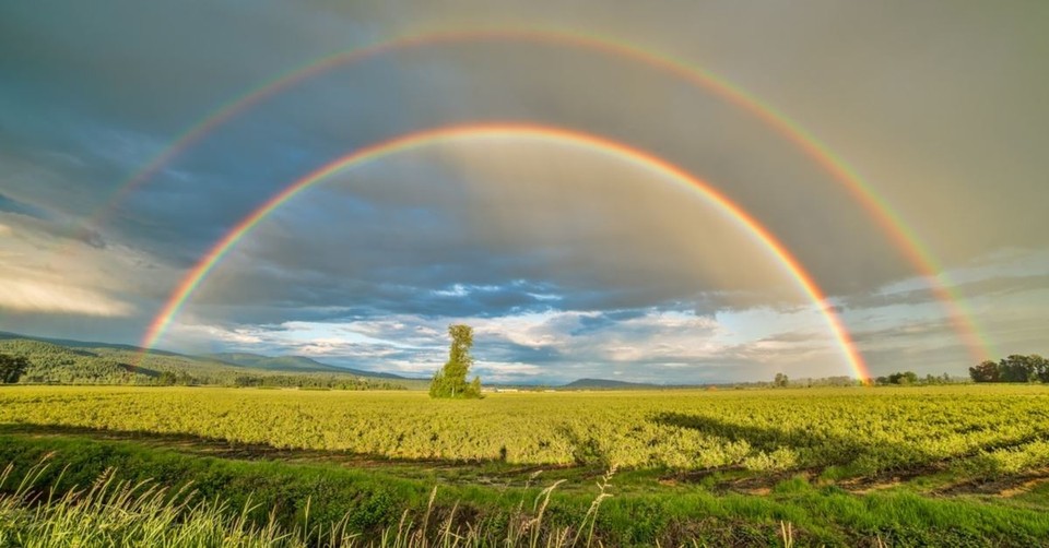 4 Life-Changing Ways to Turn Mourning into Worship