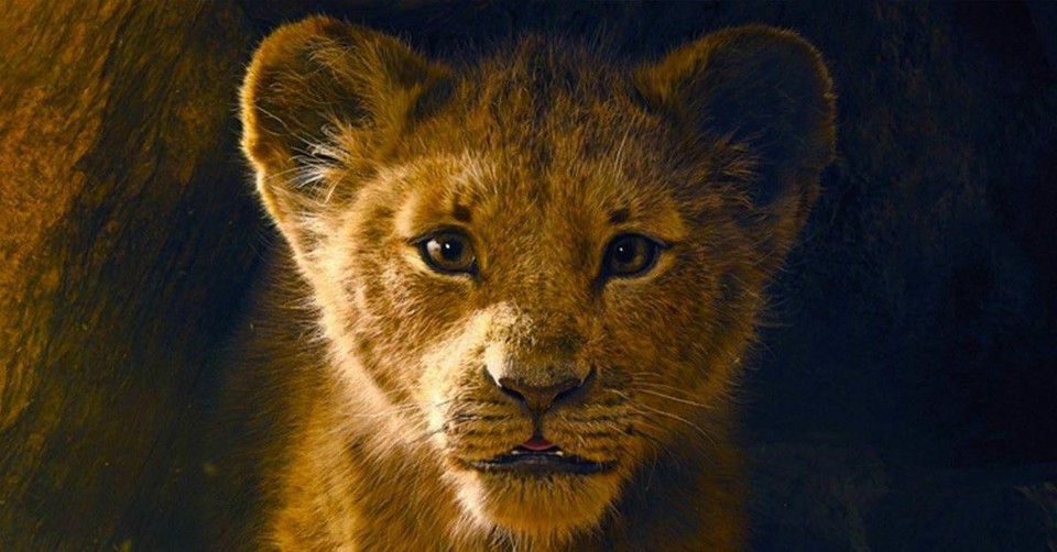 Watch the Teaser Trailer for Disney's Latest Live Action Movie, The Lion King