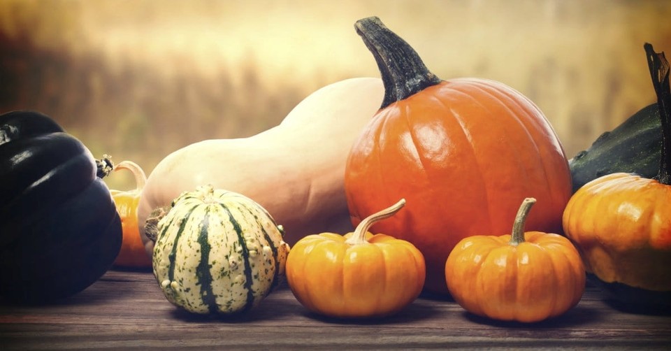Quiz: How Well Do You Know Thanksgiving?