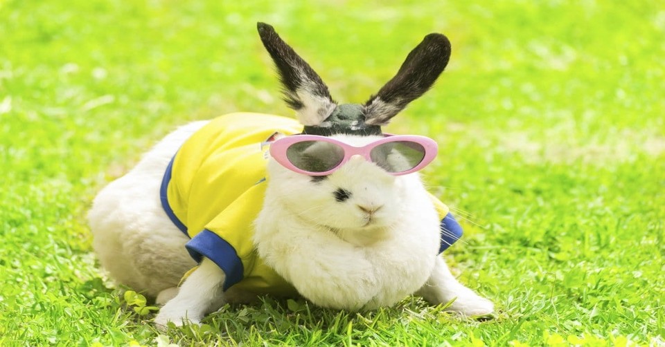 Is Easter a Pagan Holiday? Part Two