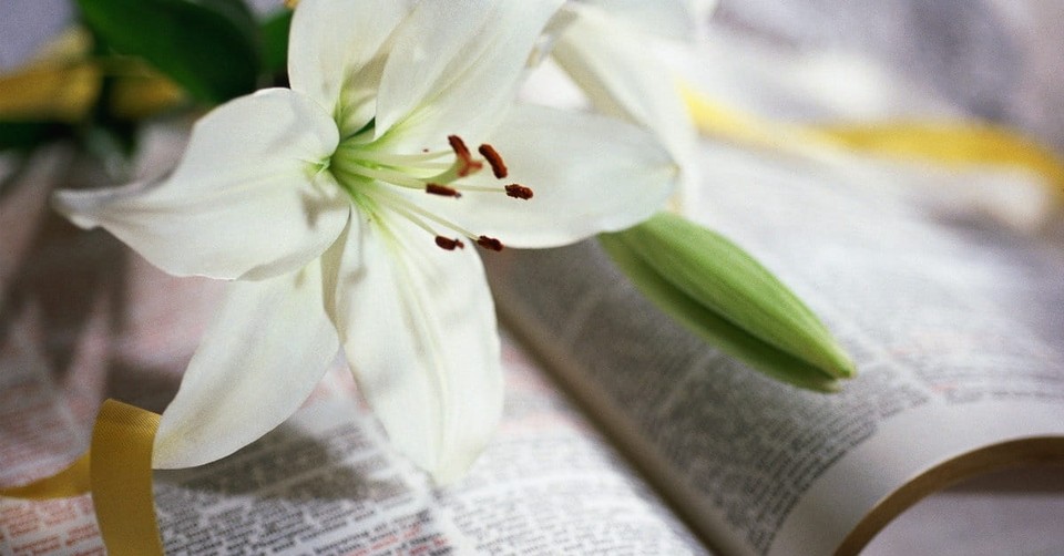 25 Easter Scriptures to Celebrate the Resurrection: He IS Risen!