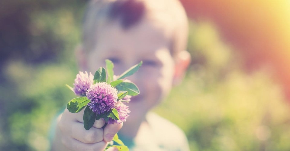 Cultivating a Green Thumb: Why Gardening Should Be Part of Your Homeschool Curriculum