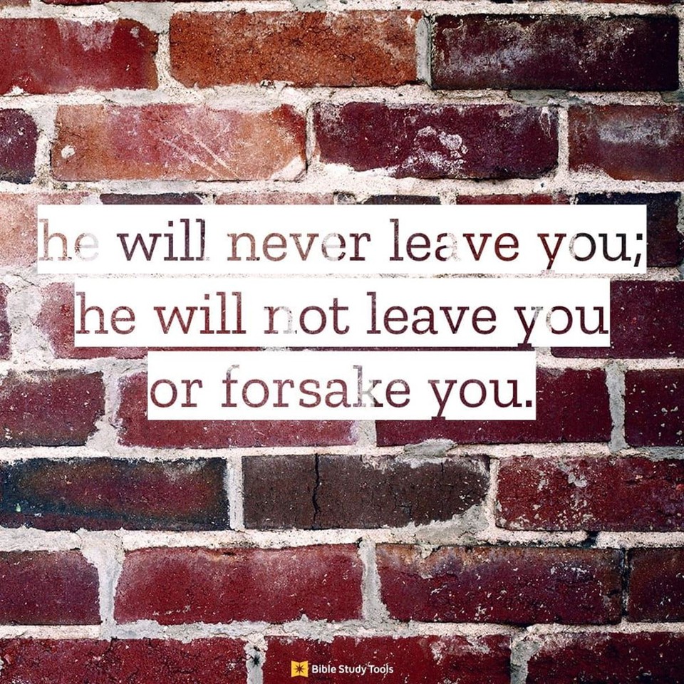 Your Daily Verse - Deuteronomy 31:8