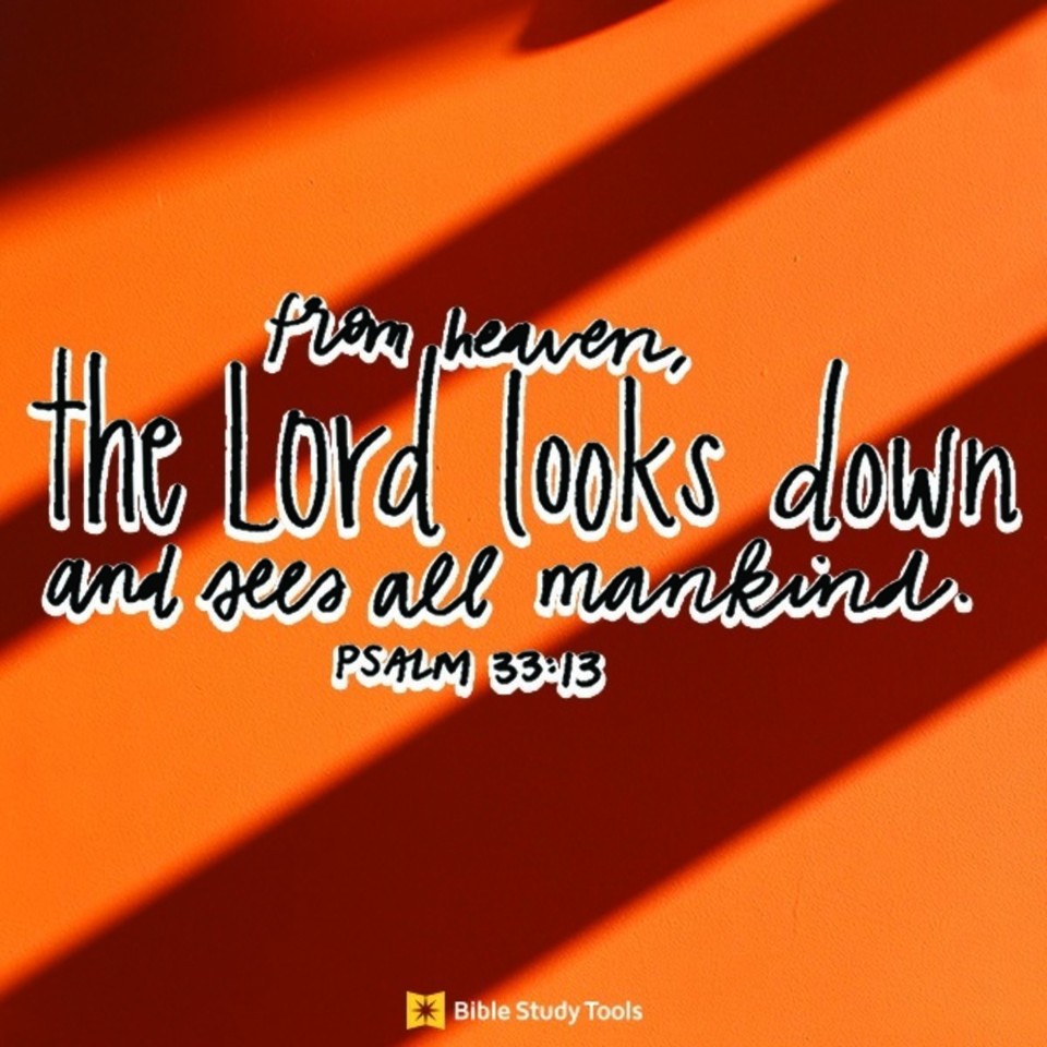 Your Daily Verse - Psalm 33:13