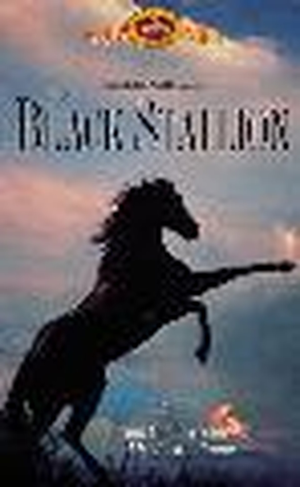 The Black Stallion
