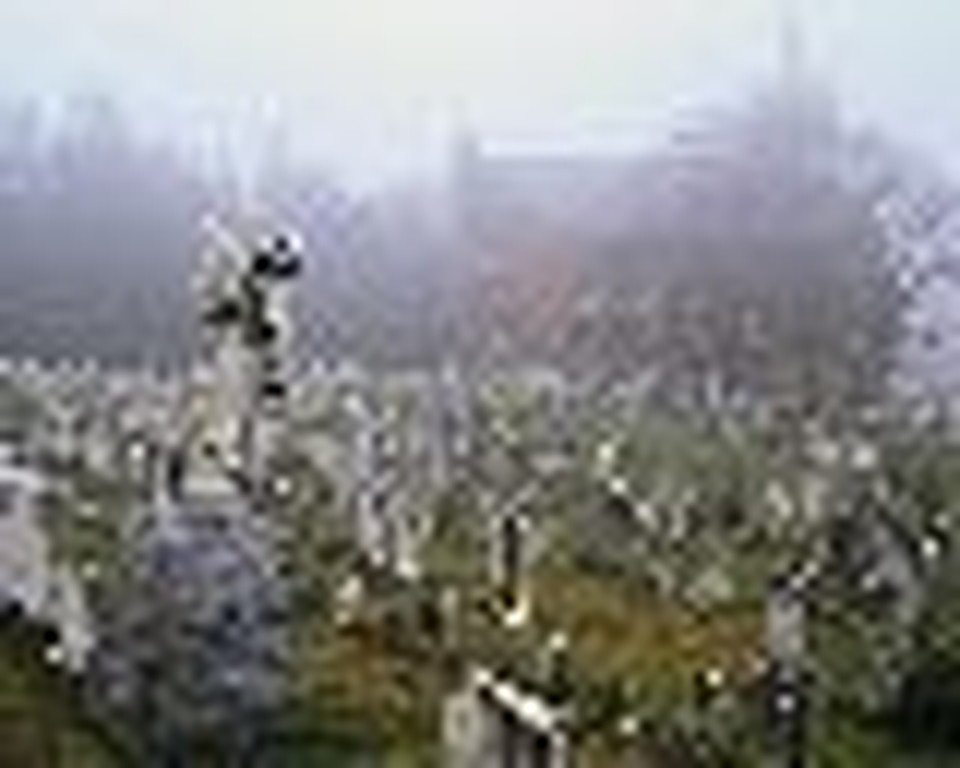 Confronting the Ghosts of Your Past