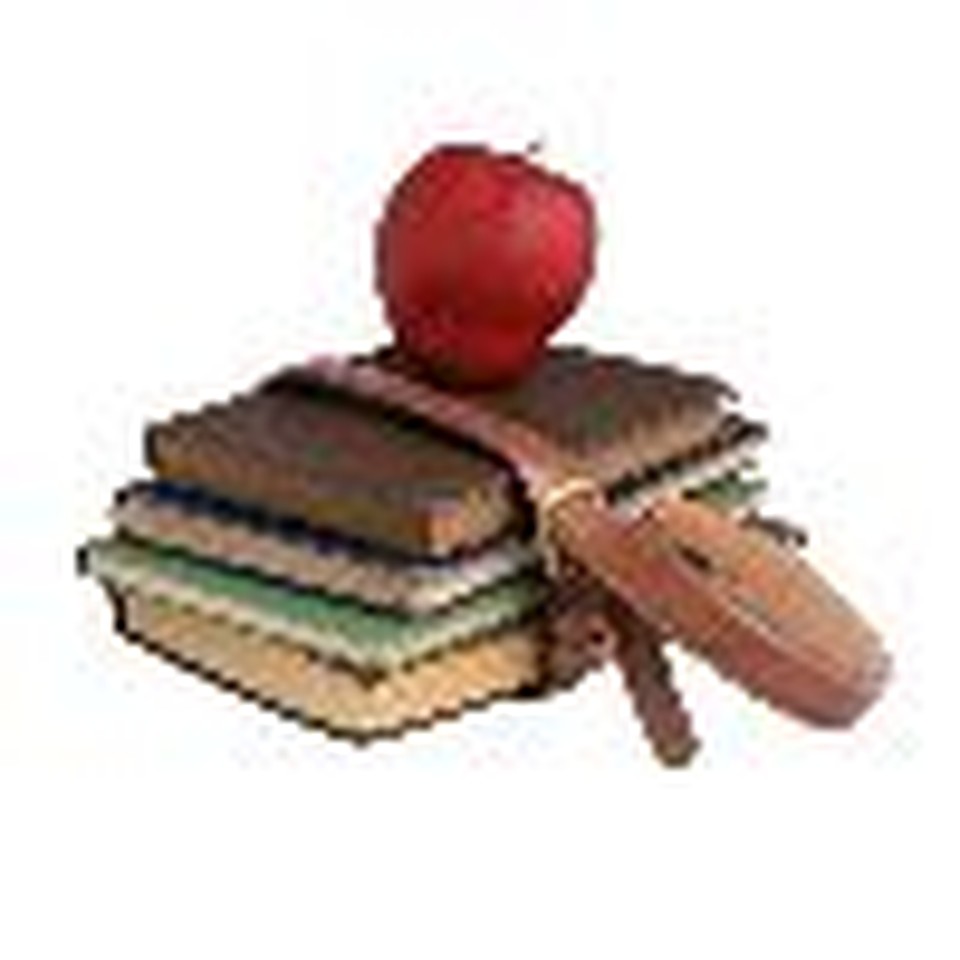 Higher Education: Excellence without a Soul