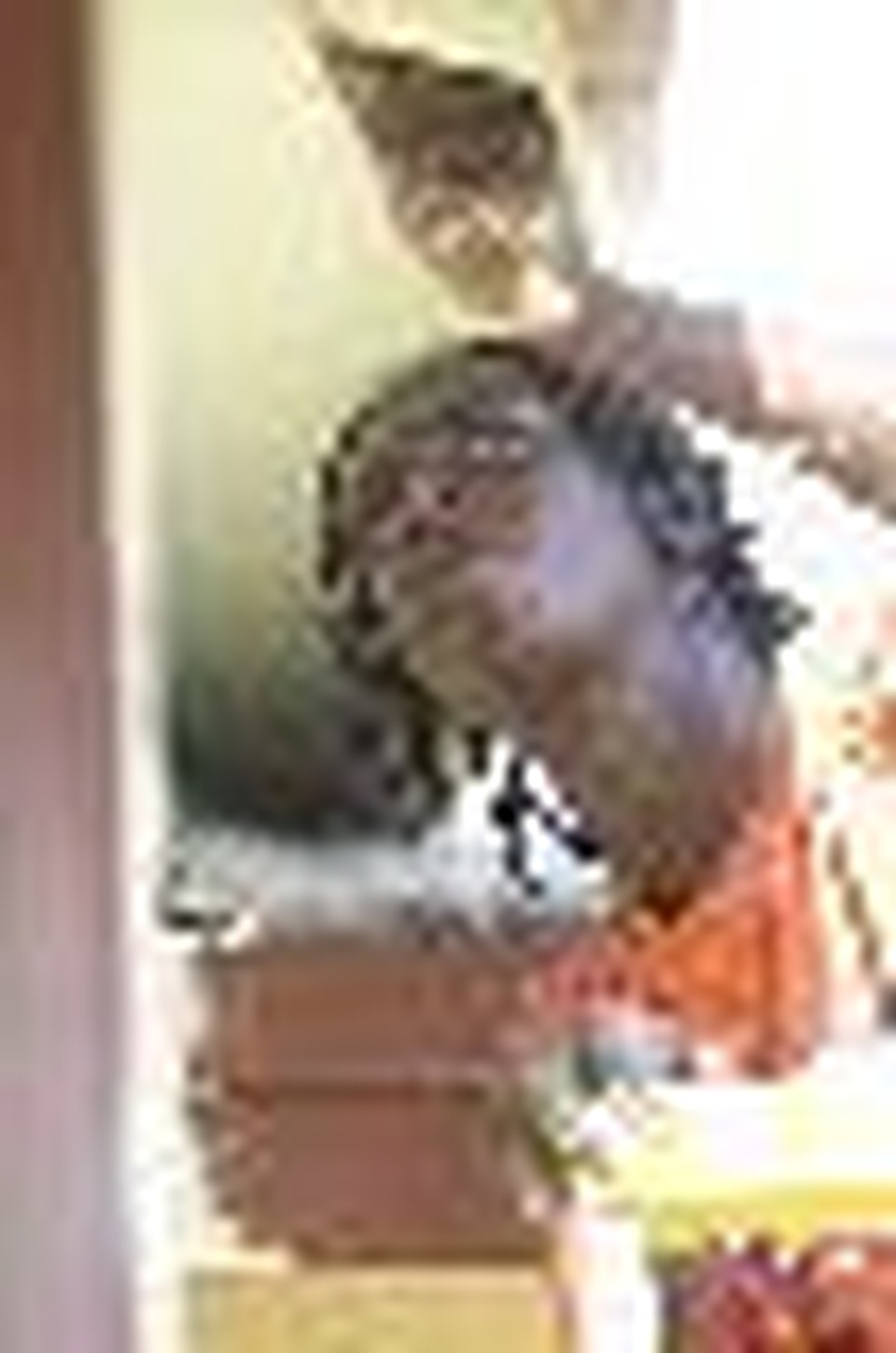 World Changers Changes Lives of Teens