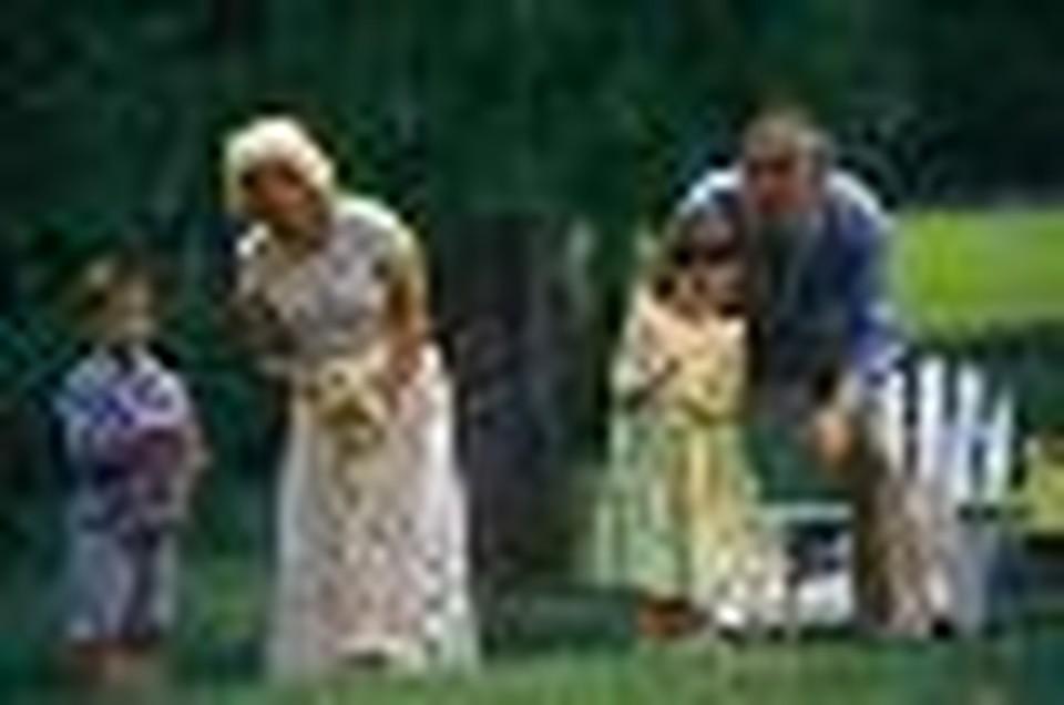 Questions and Insights about Blended Families
