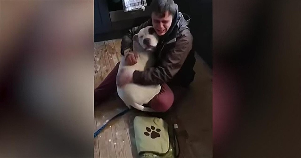 Homeless Man And Lost Dog Are Reunited | GodTube.com