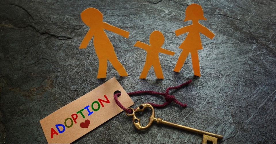 What I Have Learned from Adoption