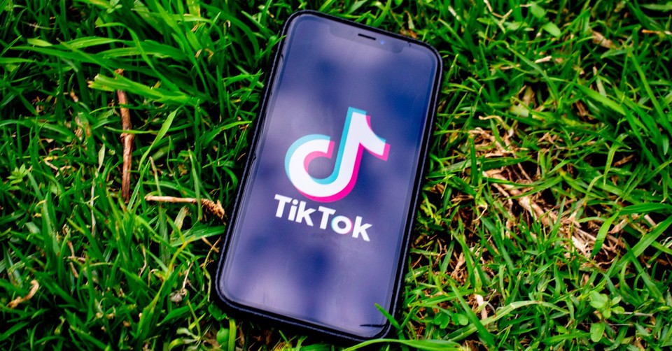 Toxic TikTok: The 2022 Pandemic 