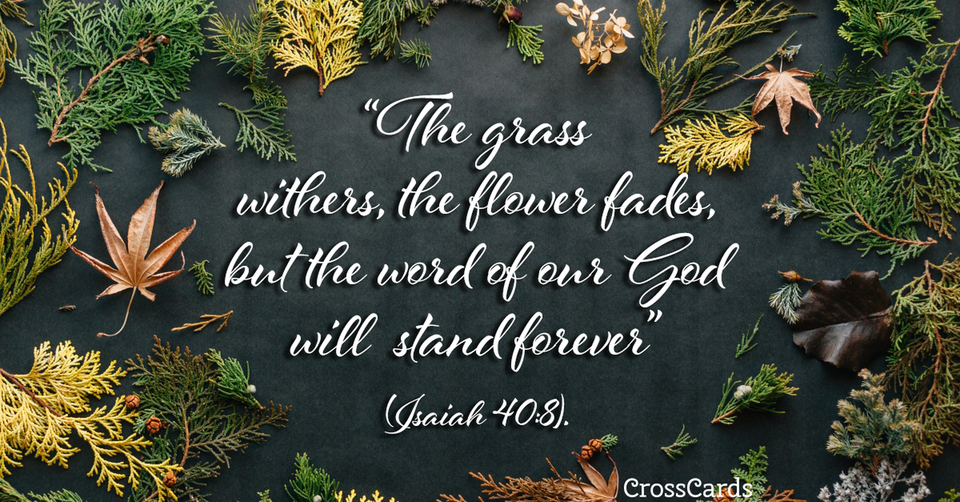 Your Daily Verse - Isaiah 40:8