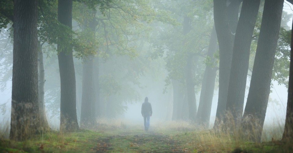 Why Is the Gentle Practice of Slow-Walking Going Viral?