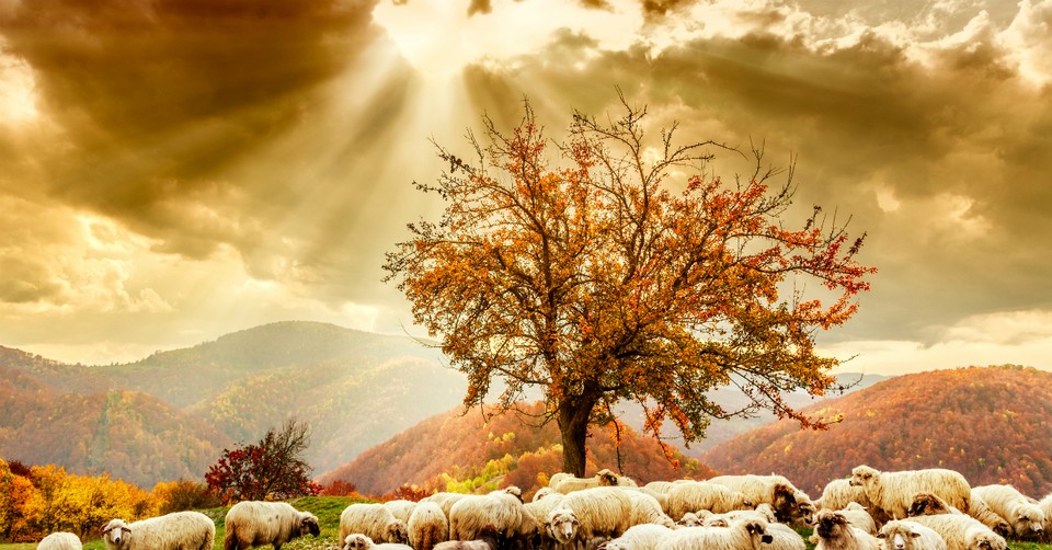 What Autumn Teaches Christians about Life, Death, and God