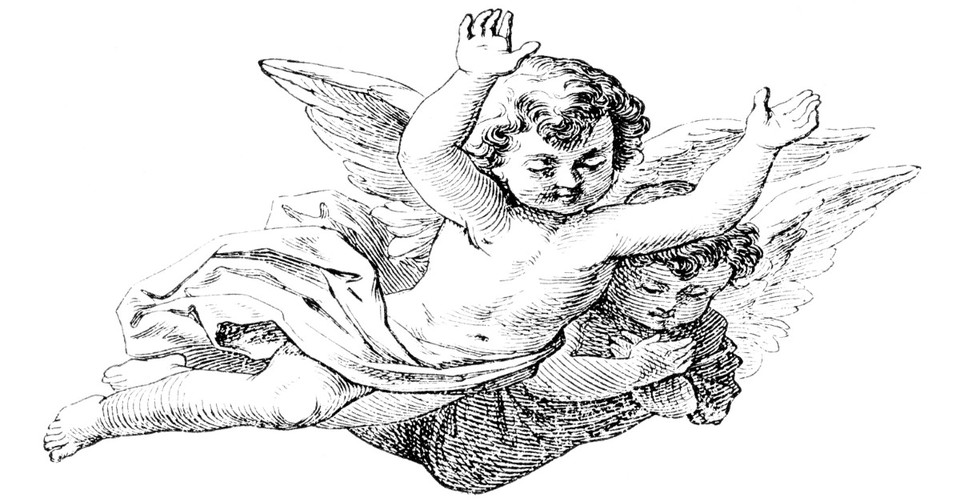 What Does a Cherub Look Like?