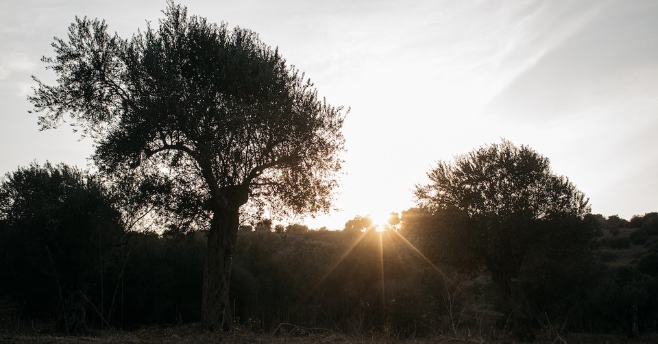 Believing the Promise That God Never Forgets