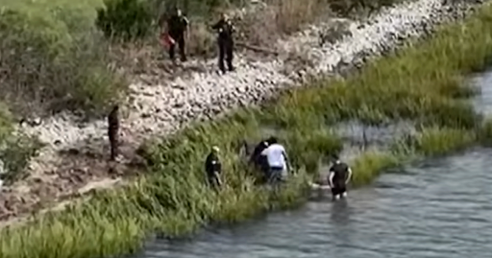 When a Dog Fell Into Danger, This Officer Dove In to Save Him Without Hesitation