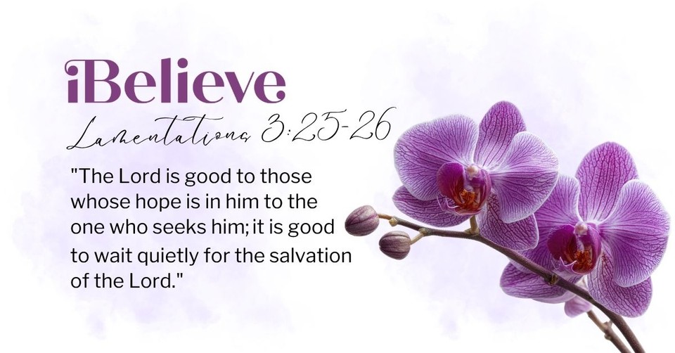 Your Daily Verse - Lamentations 3:25-26 - July 23rd