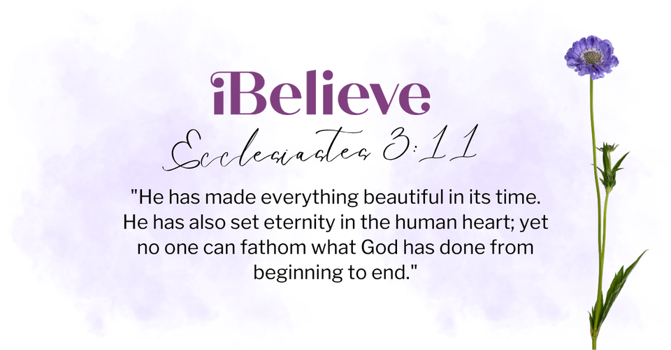 Your Daily Verse - Ecclesiastes 3:11 - July 26th