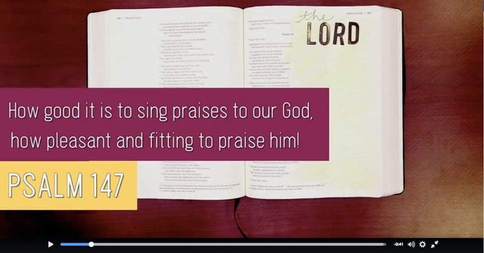 The LORD Delights in Us