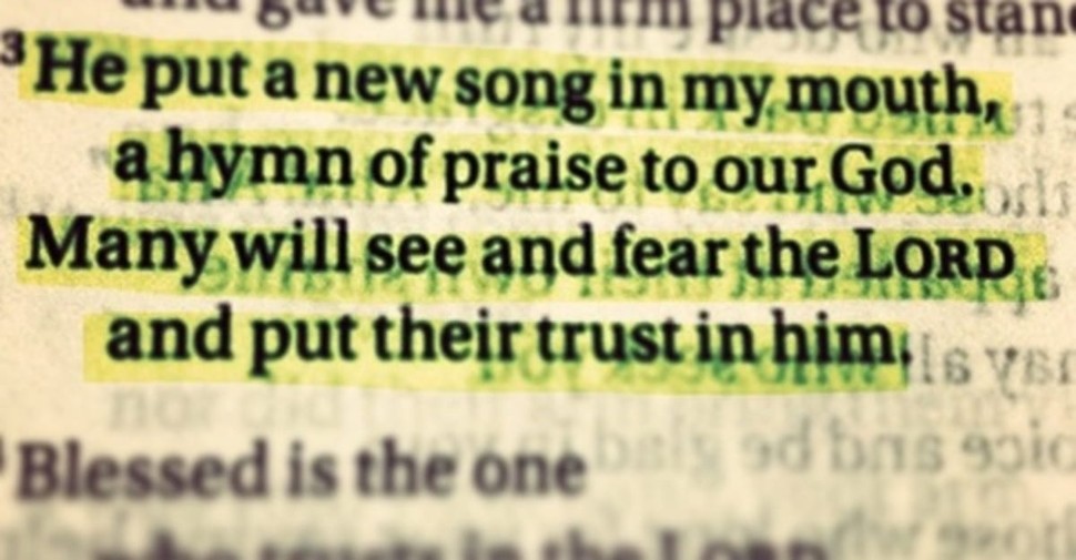 What Is the Book of Psalms All About?