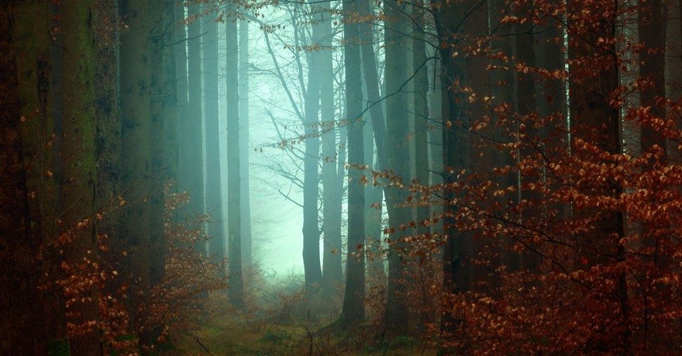 How to Overcome Your Constant Fear