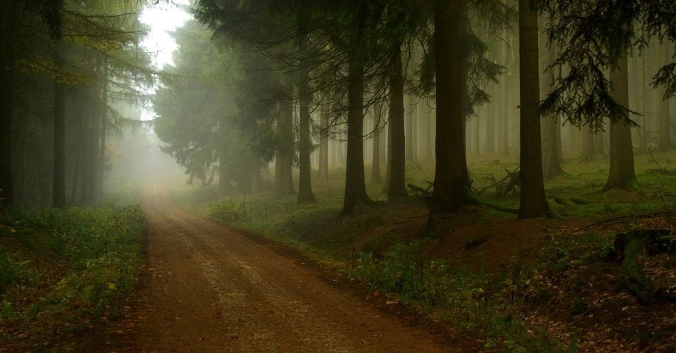 3 Ways to Pursue God While You Wander in the Wilderness