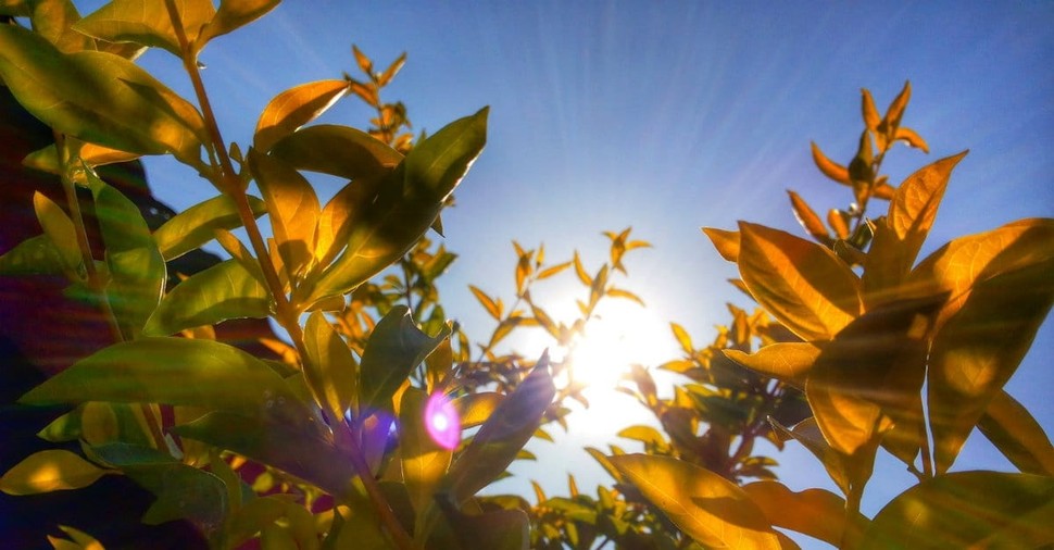 Will the New Earth Have a Sun and Moon?