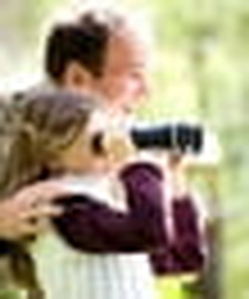 Bird Watching in Great Smoky Mountains National Park