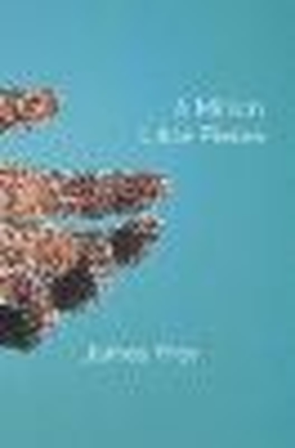 The Missing Peace of 'A Million Little Pieces'